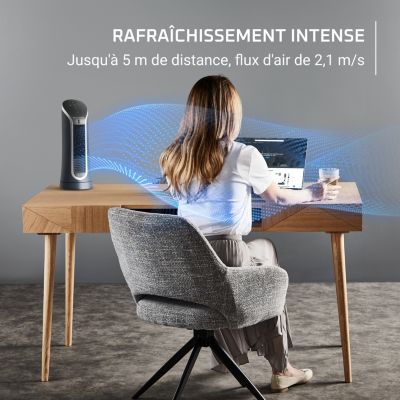  Ventilateur ROWENTA VU6220F0