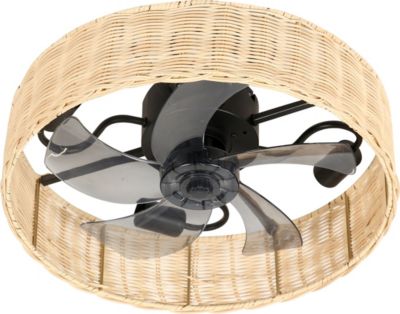  Ventilateur Plafonnier FARELEK 112458