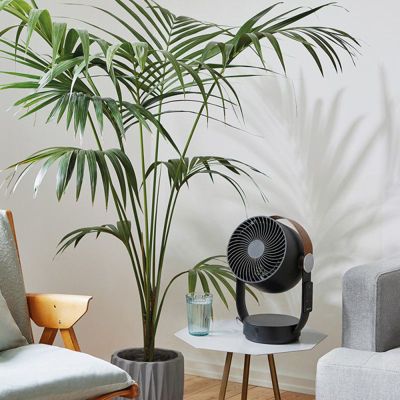  Ventilateur STADLER FORM Oscillant LEO Noir New